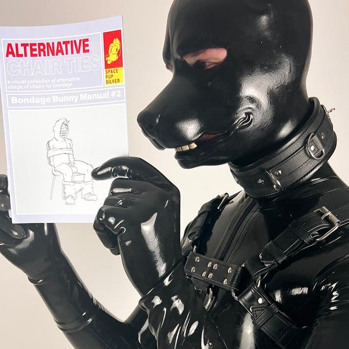 Alternative Chair Ties (A5 Zine) from James Newland Illustration.