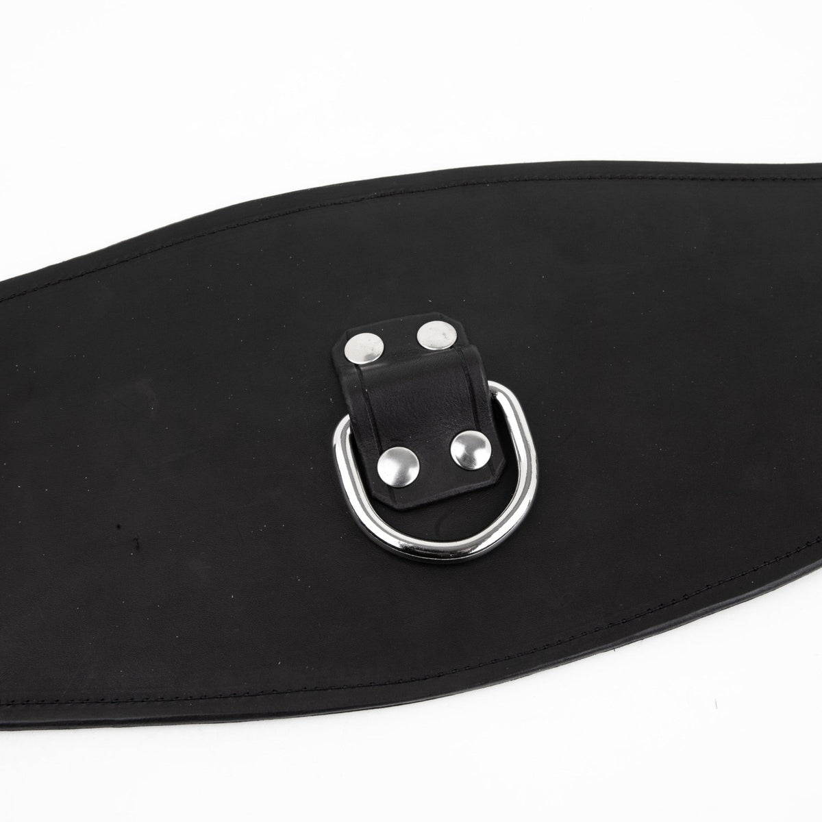 Leather Corset Cincher from Fetters.