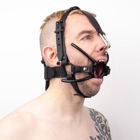 Nose Hook Head Harness from Fetters.