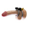 ElectroRing, Cock Ring Electrode
