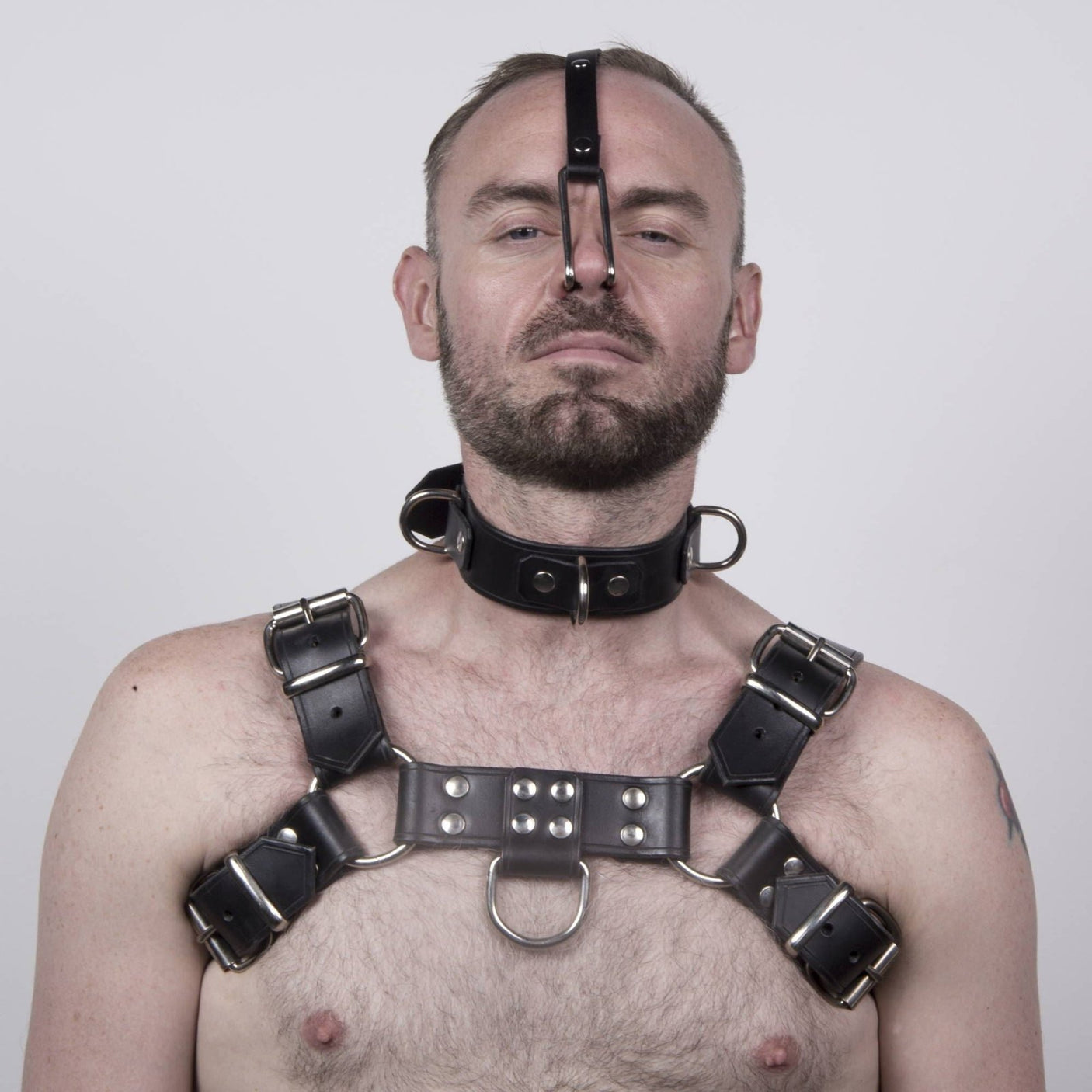 Nose Hook and Strap from SM Domain.