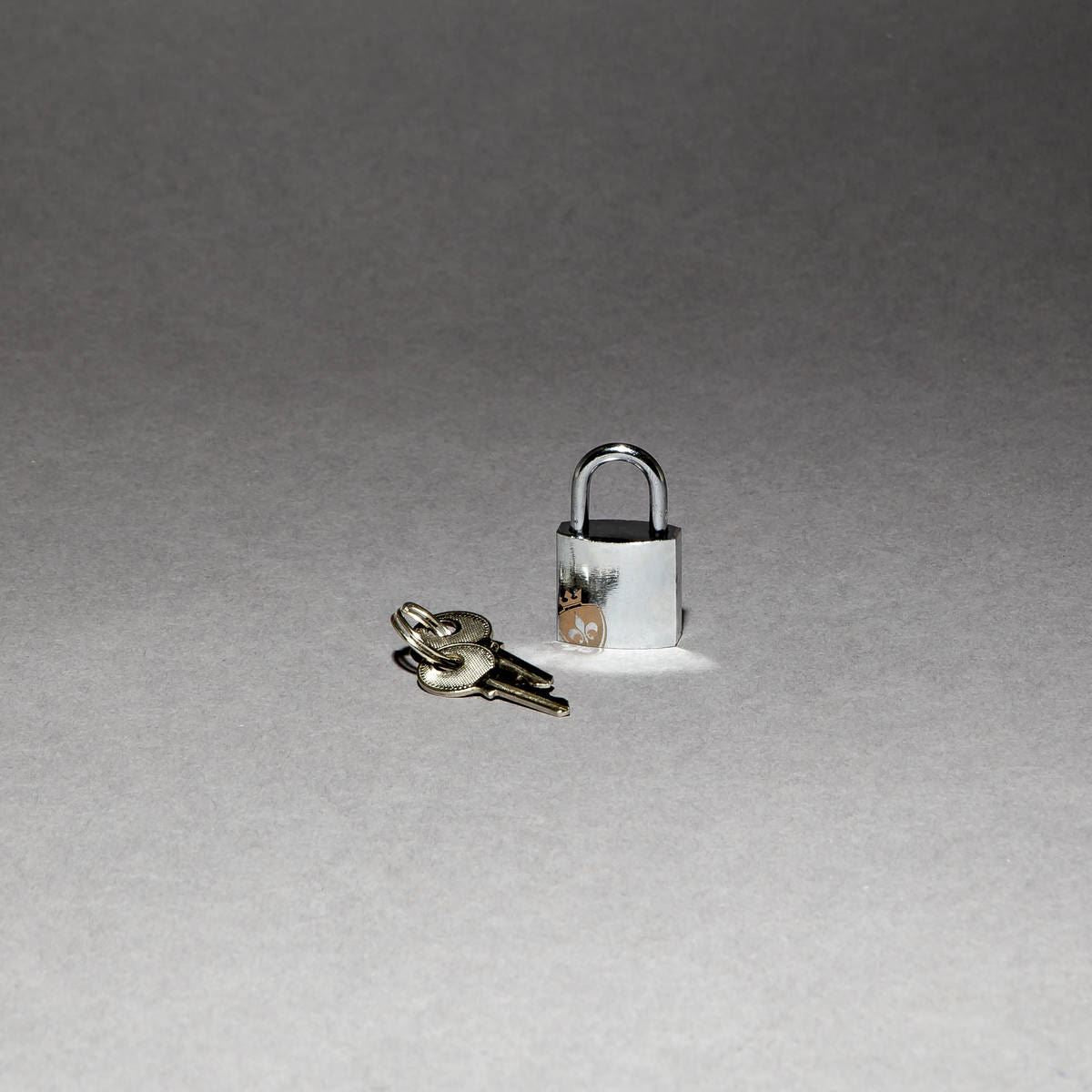 Pubic Enemy No 3, Electro Chastity Cage from Mystim.