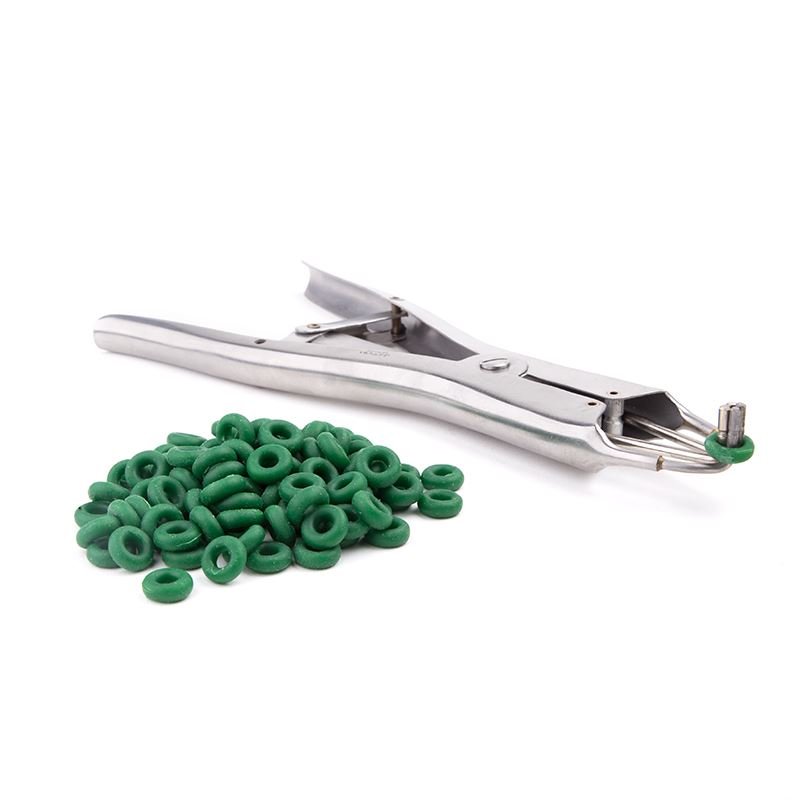 Torture Plier Set - Elastrator from REGULATION.
