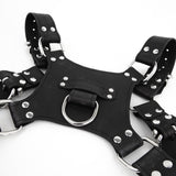 Leather Pincer Harness