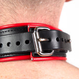 Piped Locking Leather Collar