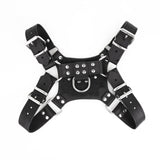 Leather Pincer Harness