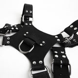 Leather Pincer Harness