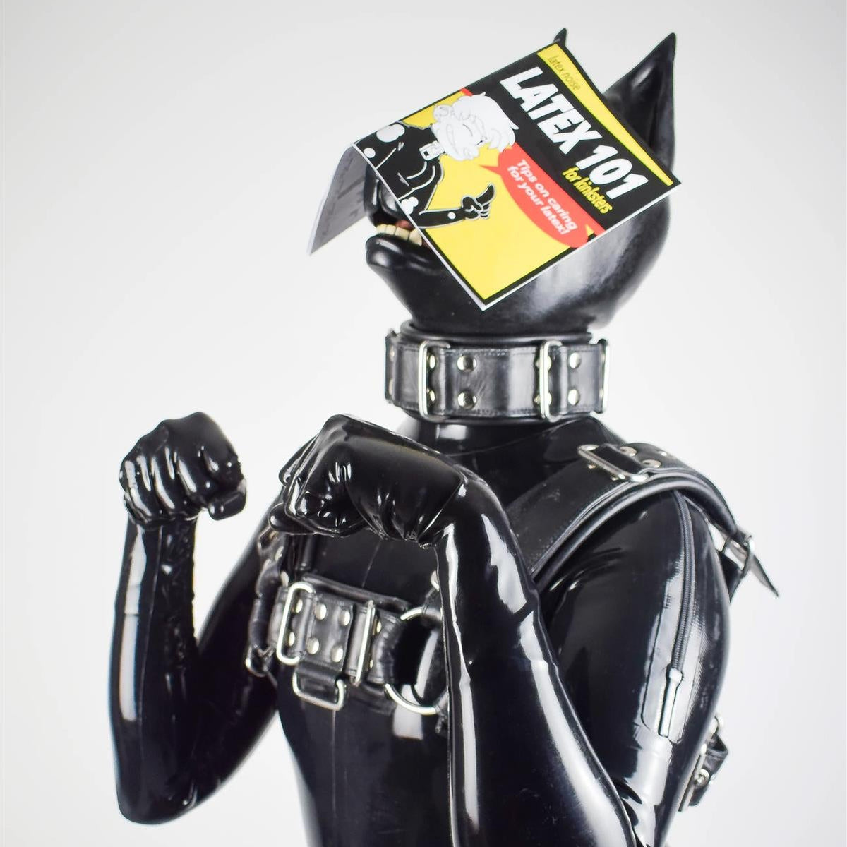 Latex 101 (A5 Zine)