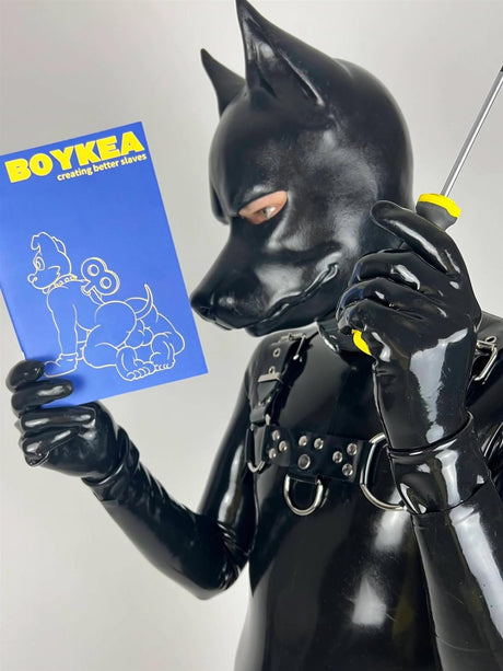 Boykea (A5 Zine) from James Newland Illustration.
