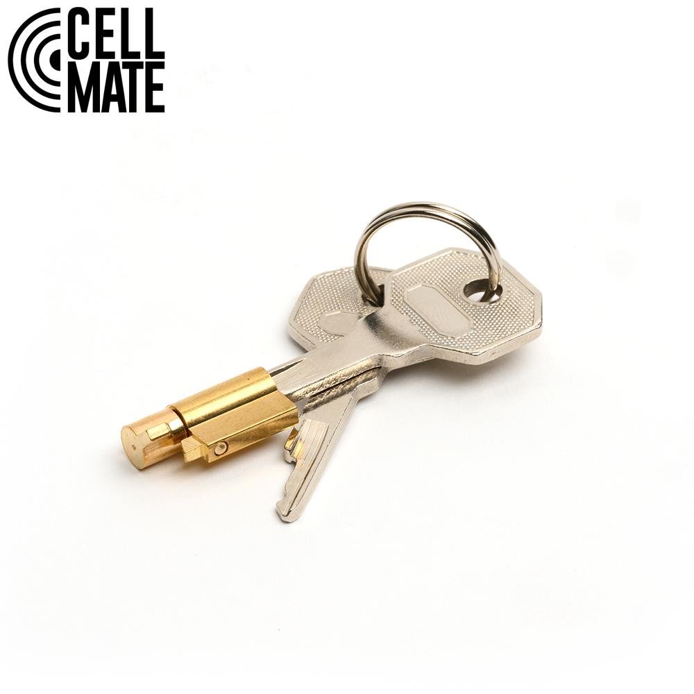 Cellmate Centurion Chastity Cage Black from Cellmate.
