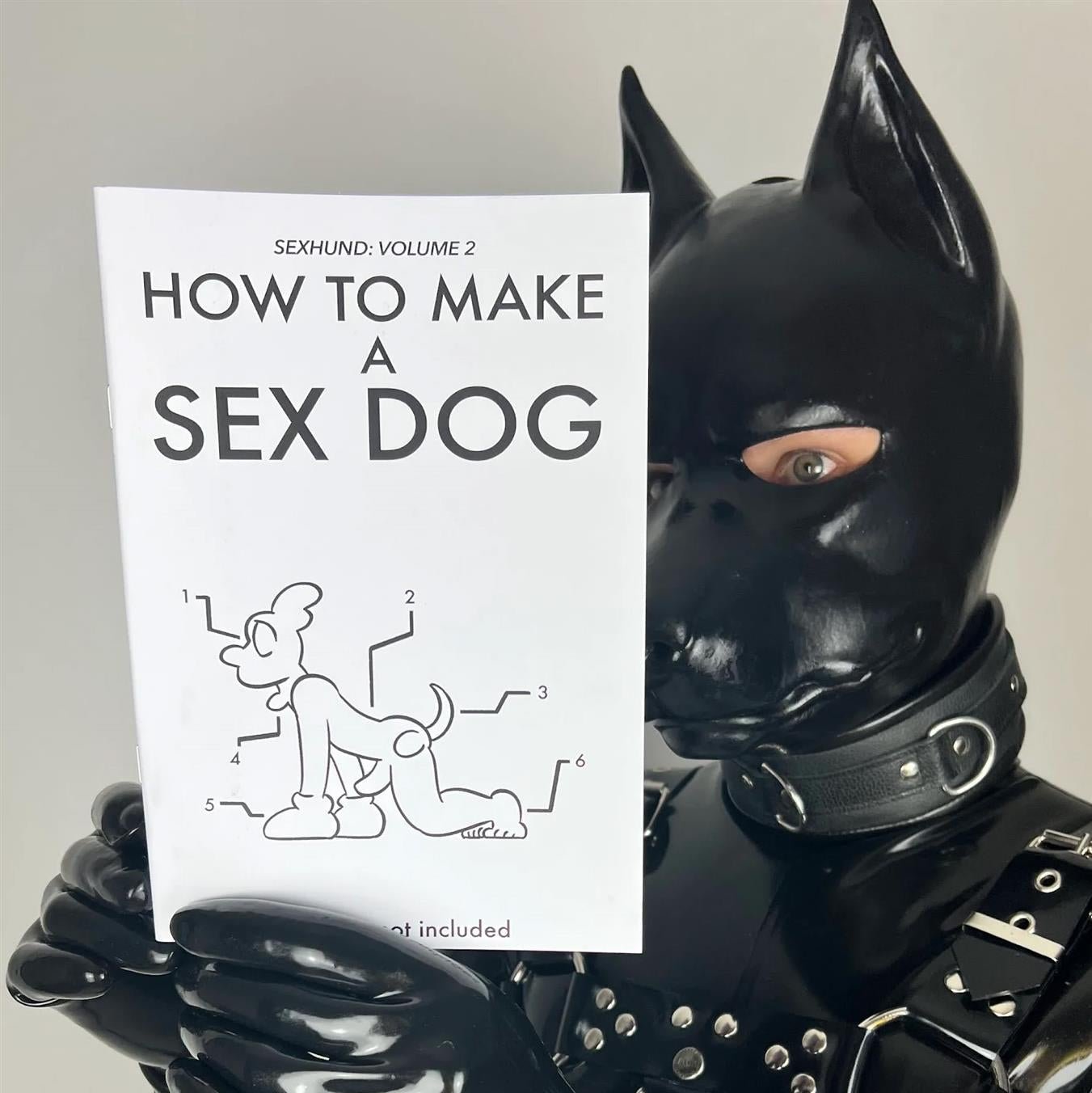 How to Make a Sex Dog V2 (A5 Zine) from James Newland Illustration.