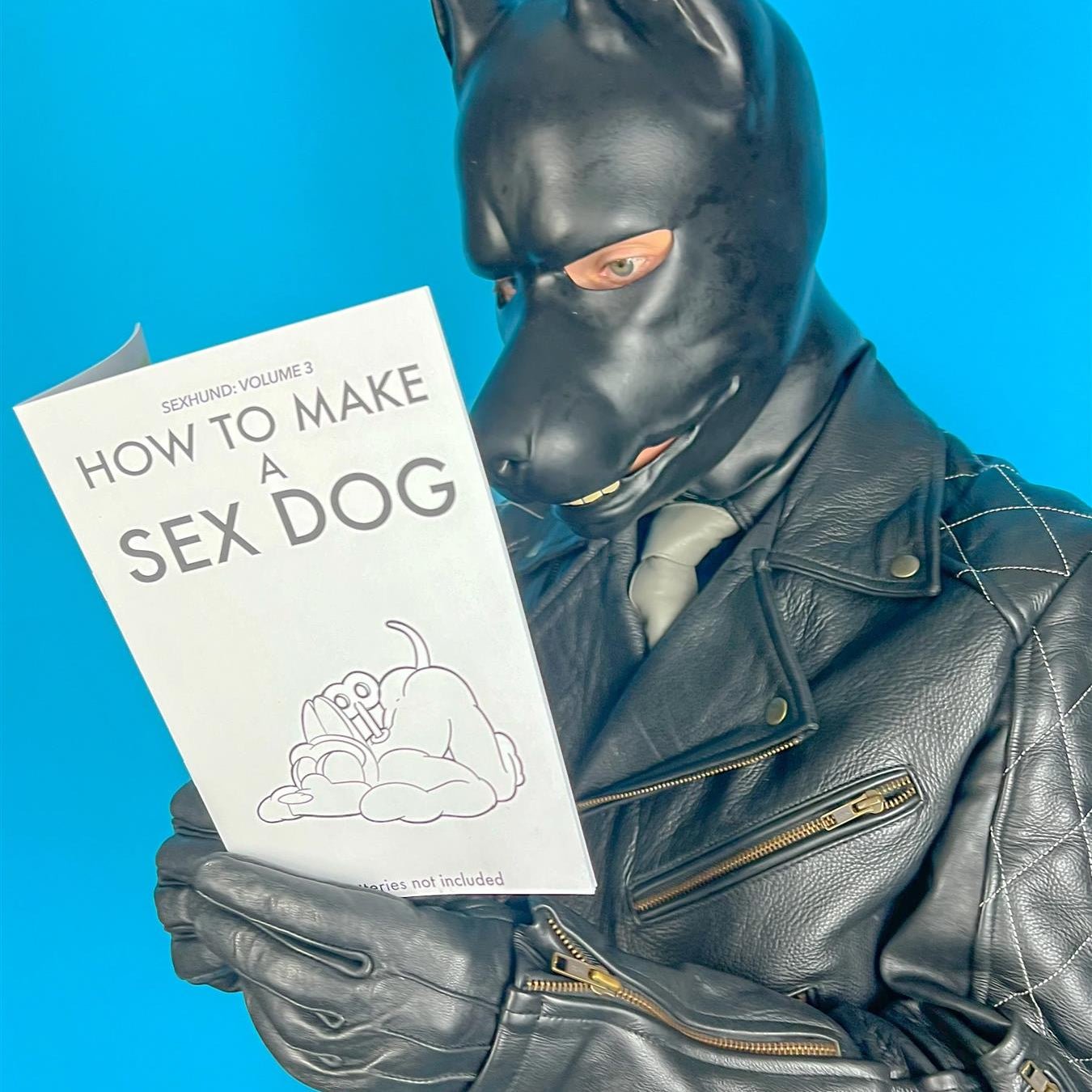 How to Make a Sex Dog V3 (A5 Zine) from James Newland Illustration.