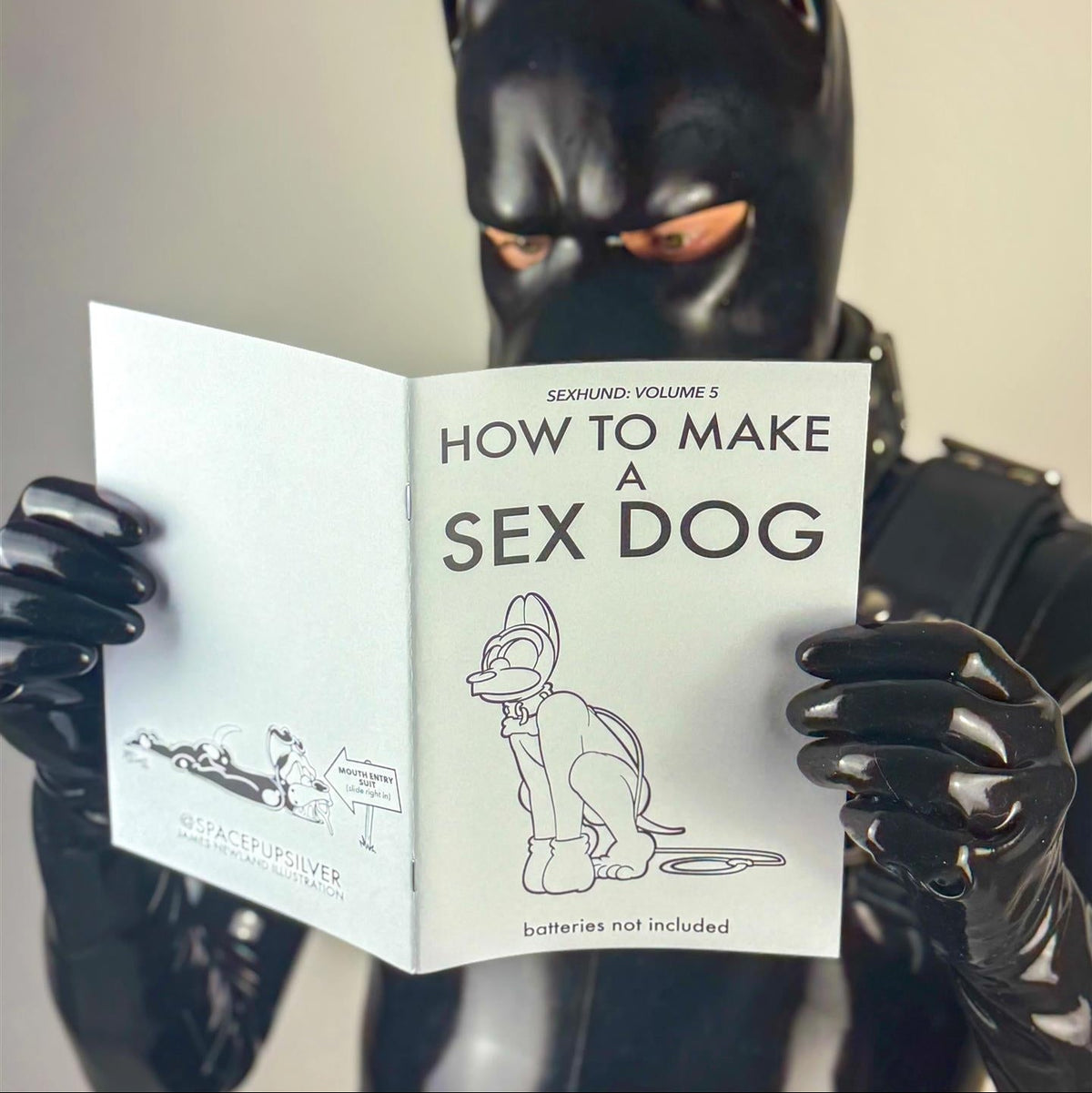 How to Make a Sex Dog V5 (A5 Zine) from James Newland Illustration.