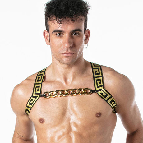 LEADER Invictus Harness, Black/Gold from Leader.