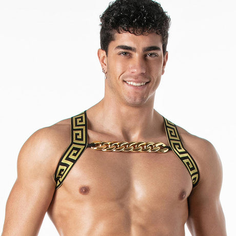 LEADER Invictus Harness, Black/Gold from Leader.