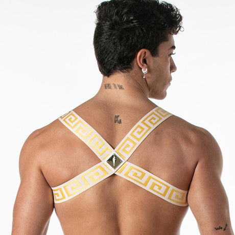 LEADER Invictus Harness, White/Gold from Leader.