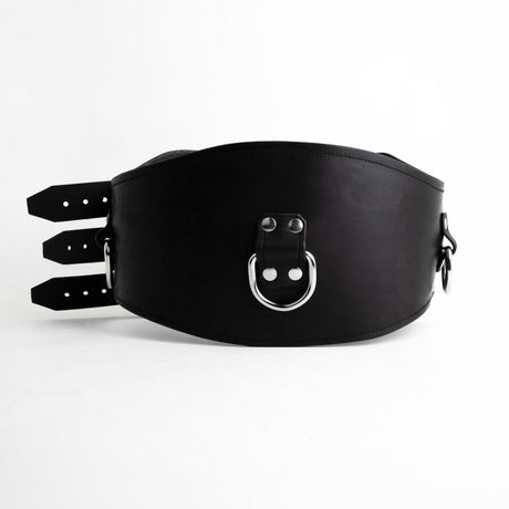 Leather Corset Cincher from Fetters.