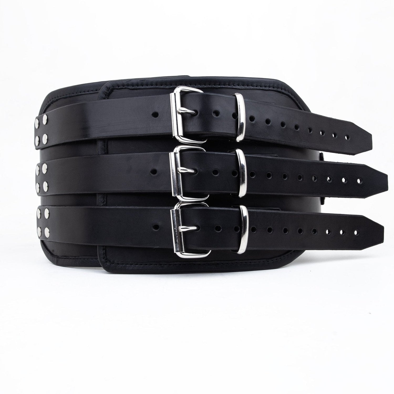 Leather Corset Cincher from Fetters.