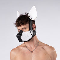 Mistr Bear Neo K9 Hood with Ears, White from Mistr Bear.