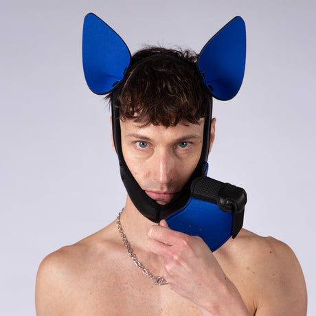 Mistr Bear Neo K9 Pup Hood with Ears, Blue from Mistr Bear.