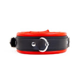 Padded Leather Collar 5cm from REGULATION.