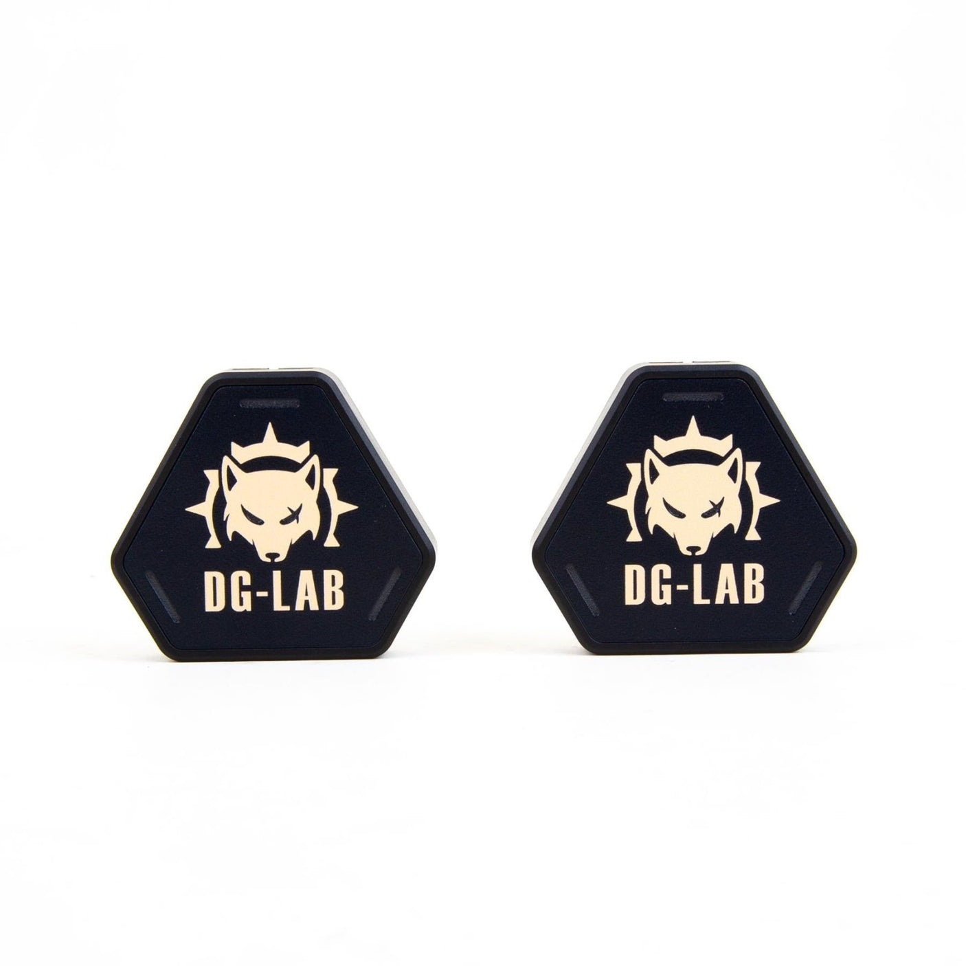 PawPrints Wireless Button from Dungeon Lab.