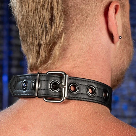 Puppy Collar, Black from Mr S Leather.