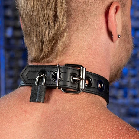 Puppy Collar, Black from Mr S Leather.