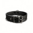 Puppy Collar, Black from Mr S Leather.