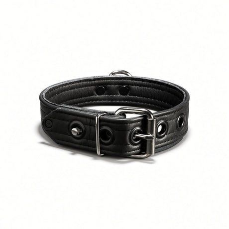 Puppy Collar, Black from Mr S Leather.