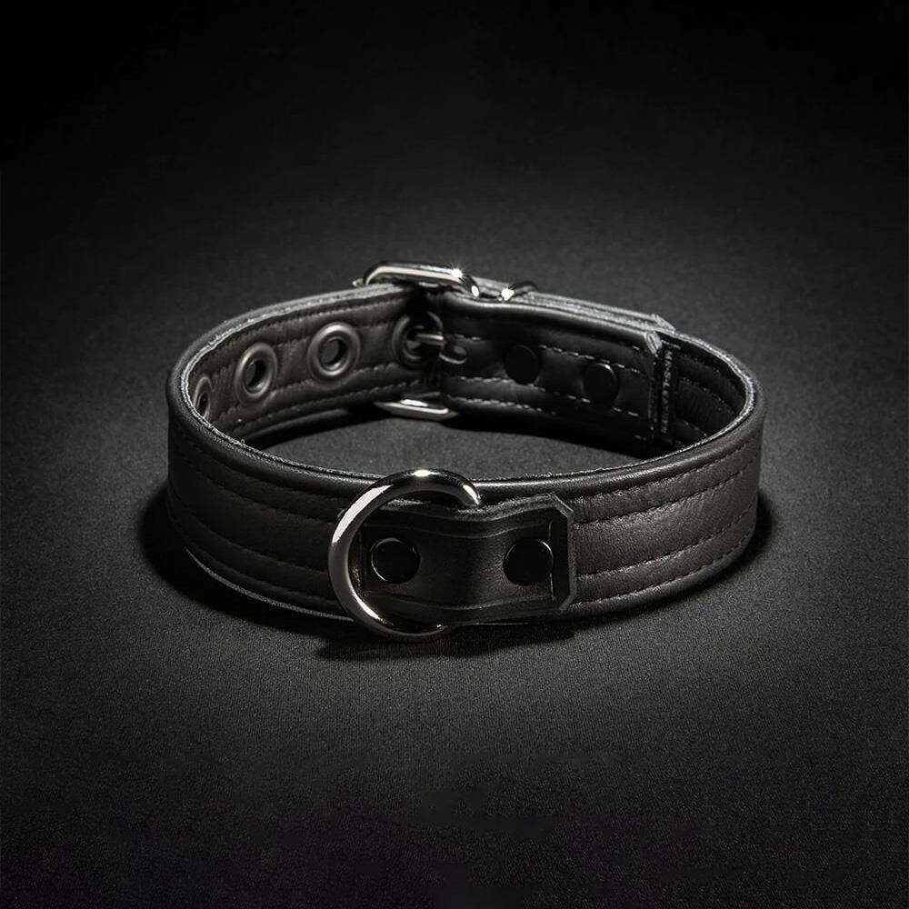 Puppy Collar, Black from Mr S Leather.