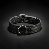 Puppy Collar, Black from Mr S Leather.