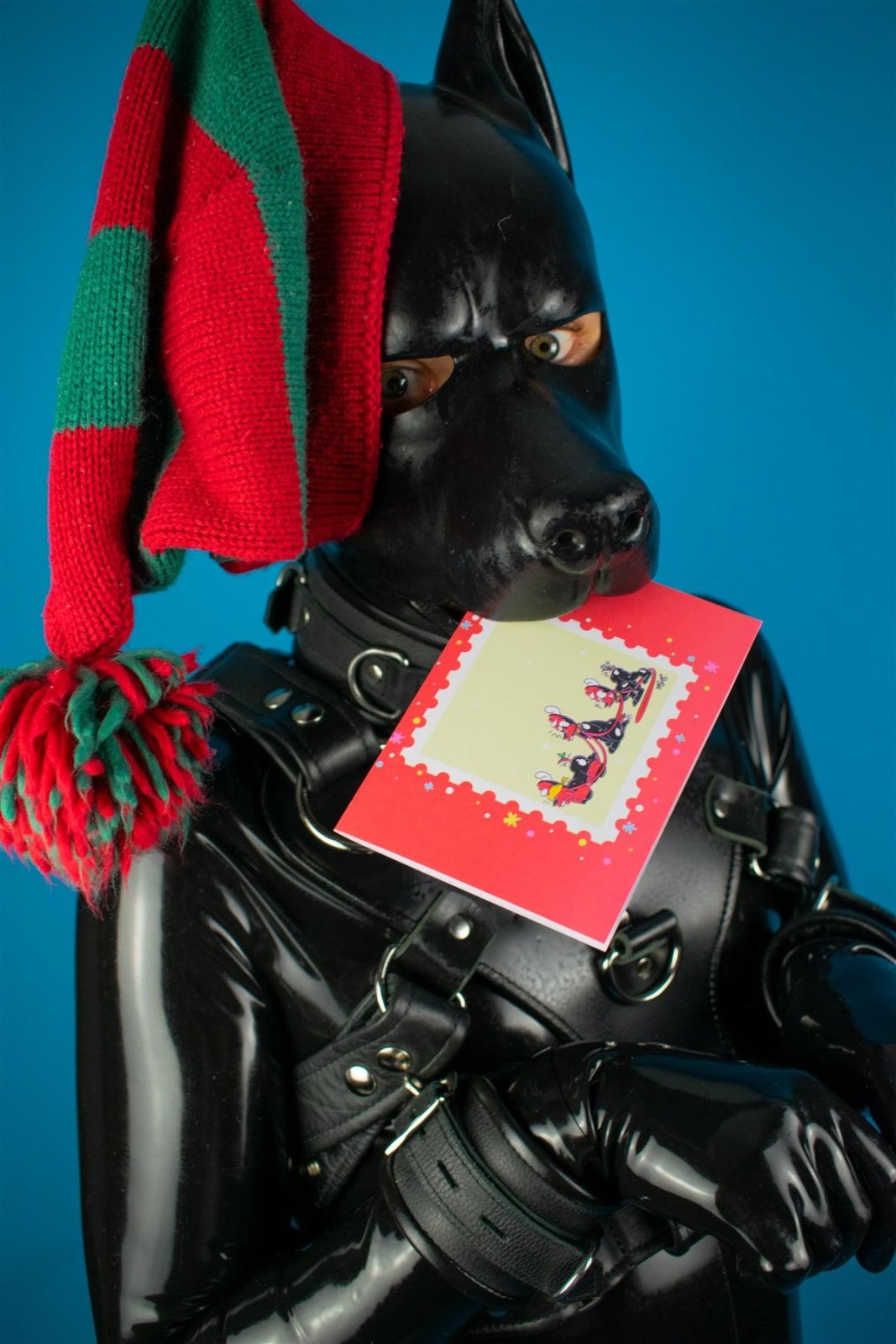 "Sex Dogs" Xmas Card Pack from James Newland Illustration.