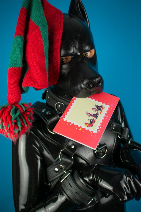 "Sex Dogs" Xmas Card Pack from James Newland Illustration.