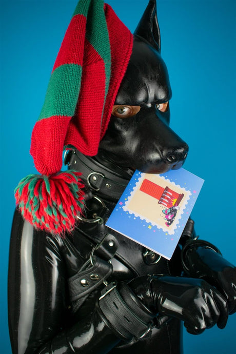 "Sex Dogs" Xmas Card Pack from James Newland Illustration.