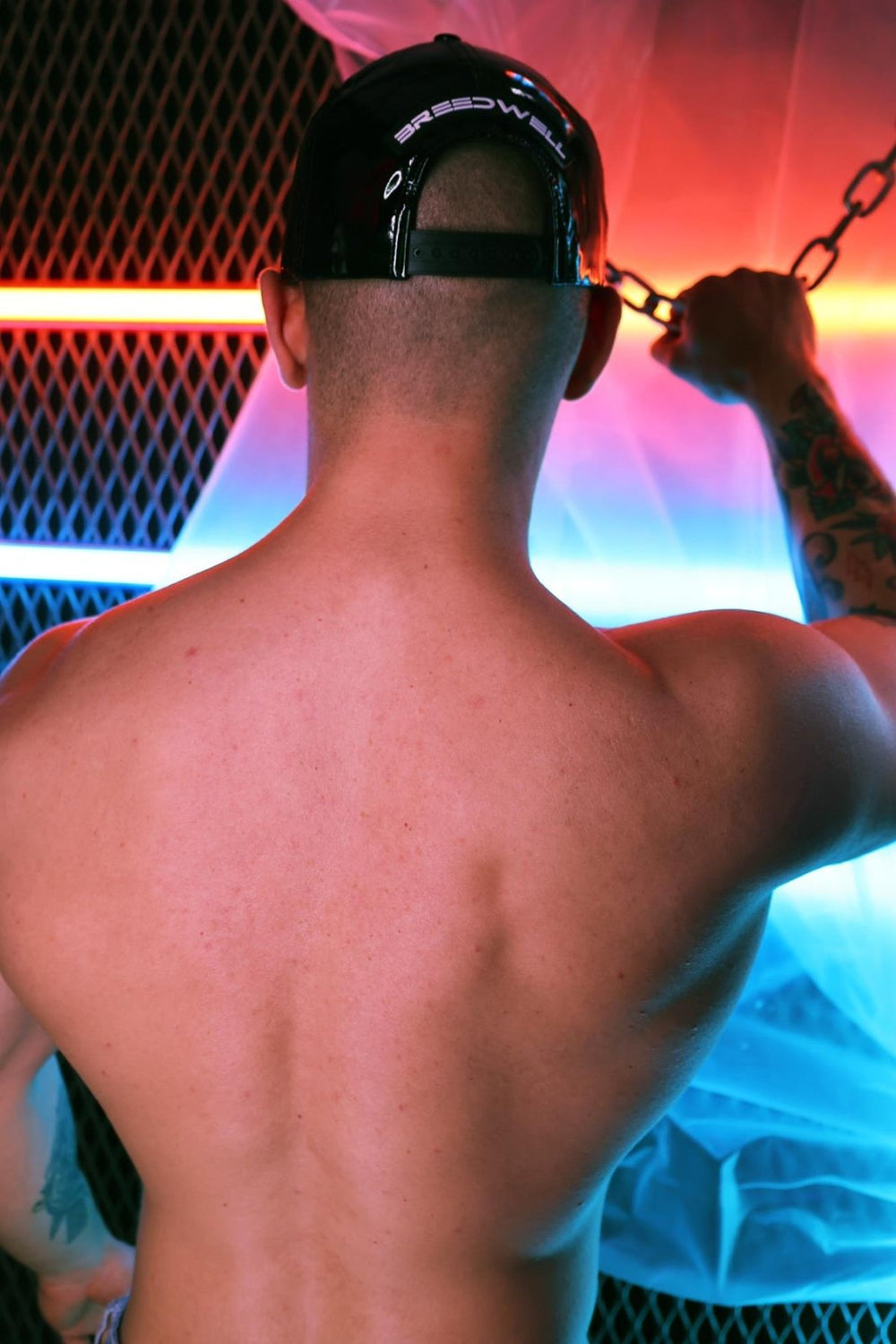 Breedwell Cyber Holo Hat, Black from Breedwell.