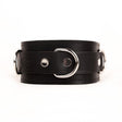 Fetters Classic Leather Collar from Fetters.