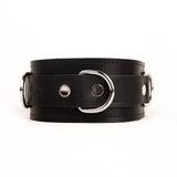 Fetters Classic Leather Collar from Fetters.