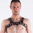 Leather Bulldog Harness from REGULATION.