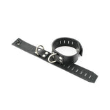 Leather Slot Ankle Restraints from Fetters.