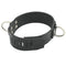 Leather Slot Bondage Collar