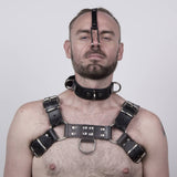 Nose Hook and Strap from SM Domain.
