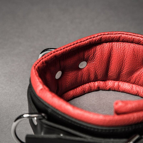 Padded Leather Collar from Fetters.