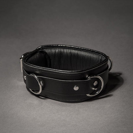 Piped Leather Collar from Fetters.