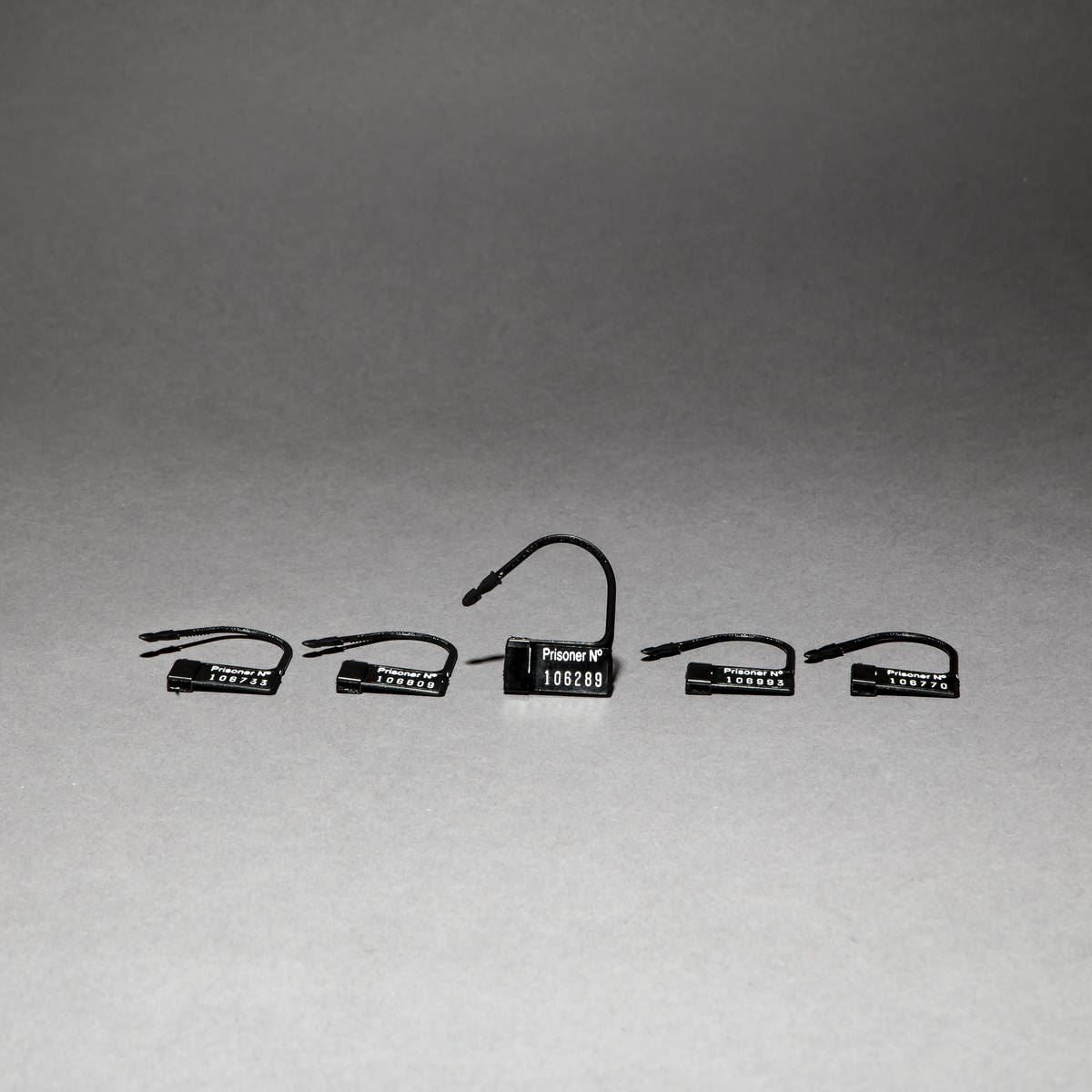 Pubic Enemy No 3, Electro Chastity Cage from Mystim.