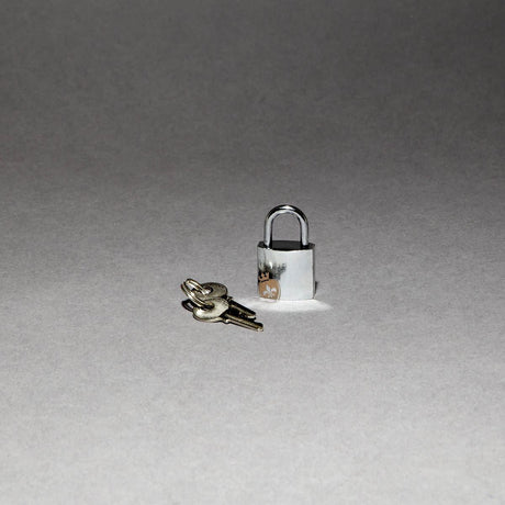 Pubic Enemy No 3, Electro Chastity Cage from Mystim.