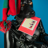 "Sex Dogs" Xmas Card Pack from James Newland Illustration.