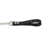 Silicone Collar and Leash from SM Domain.