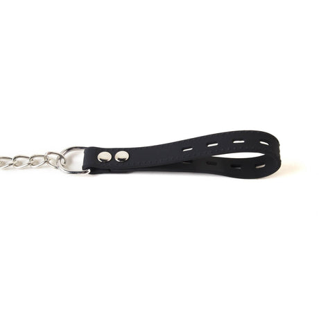 Silicone Collar and Leash from SM Domain.
