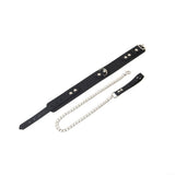 Silicone Collar and Leash from SM Domain.